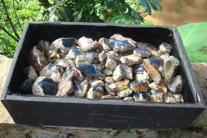 Amber lot