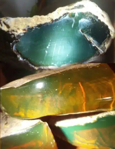 Green And Greenish