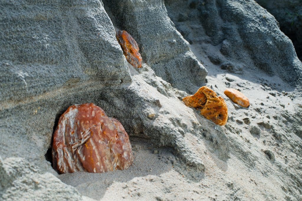 Kaliningrad amber