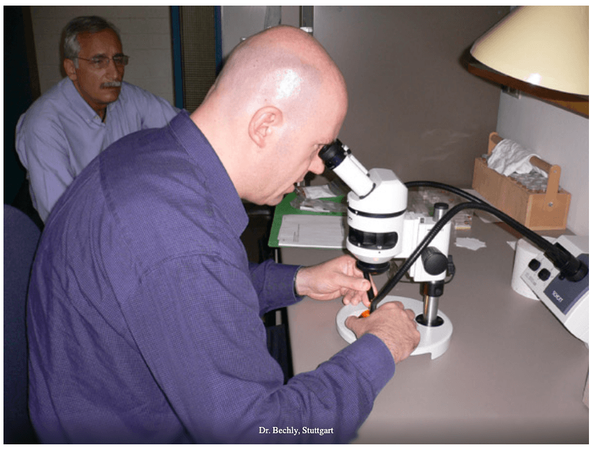 Dr. Bechly, Suttgart