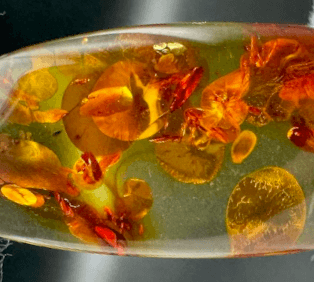 Sun Spangles in Amber