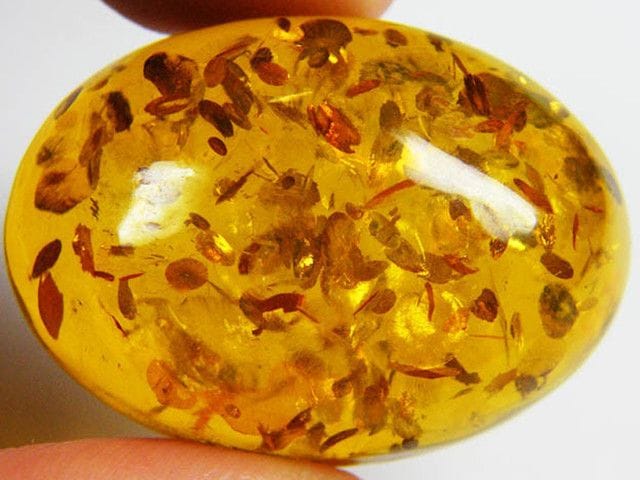 Sun spangles